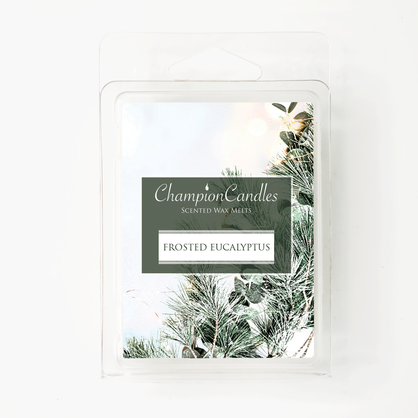Frosted Eucalyptus Wax Melts