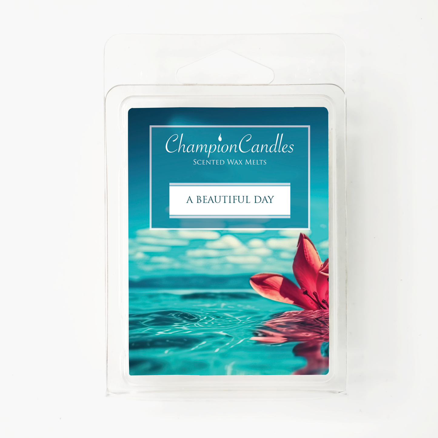 A Beautiful Day Wax Melts