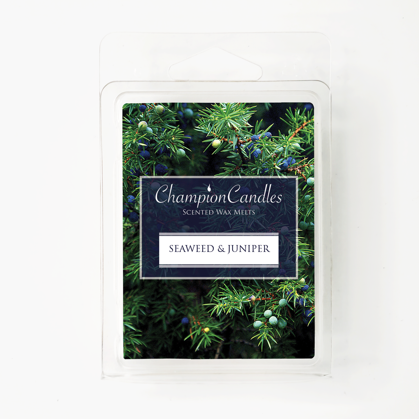 Seaweed & Juniper Wax Melts